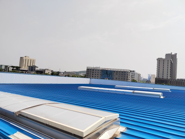 武汉新华扬生物项目